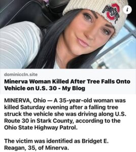 Bridget Reagan, Accident Death: Minerva, Ohio Community Member Has Died