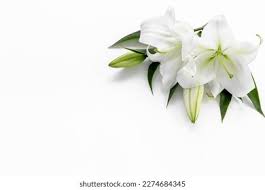 flowssssss